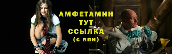 стаф Козельск