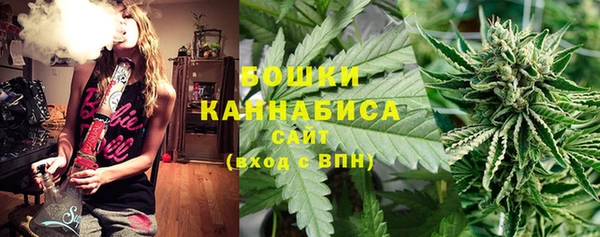 стаф Козельск