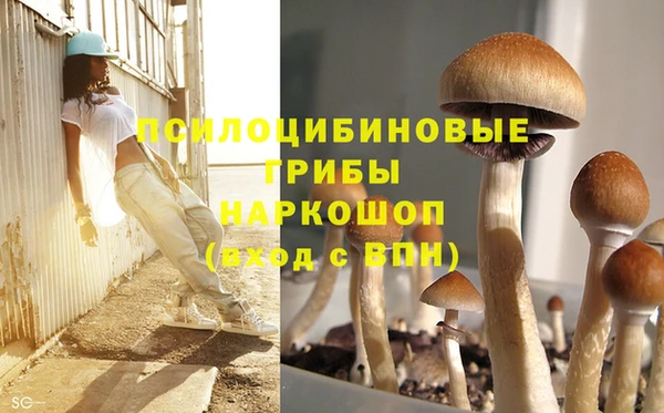 ECSTASY Костерёво