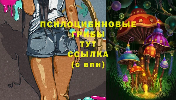 стаф Козельск