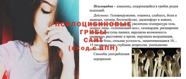 стаф Козельск