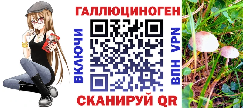 мега ТОР  где купить наркоту  Кораблино  Псилоцибиновые грибы ЛСД 